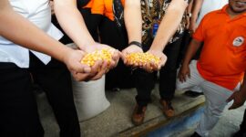 Kepala Bapanas Arief Prasetyo Adi menghadiri kegiatan bertajuk 'Penyerapan Jagung dari Bima dan Dompu Nusa Tenggara Barat (NTB). (Dok. Tim Komunikaai Bapanas)
